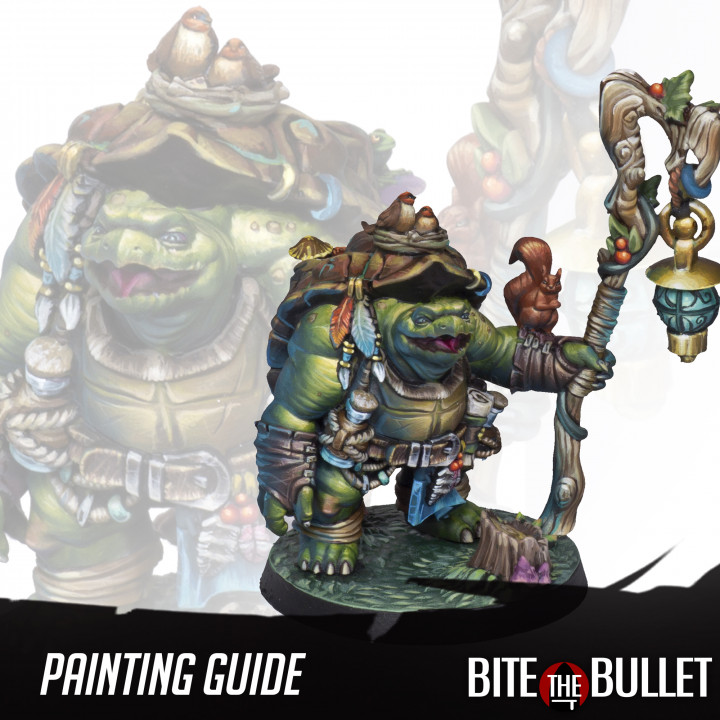 $1.99[PDF Only] (Painting Guide) Olda, the Tortle Druid