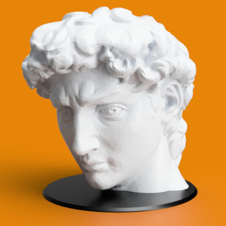 STL file David of Michelangelo Head Pen Holder ✡️・Model to download and 3D  print・Cults