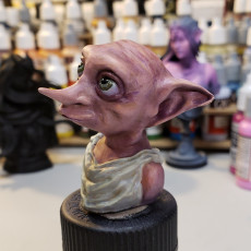 Picture of print of Dobby Multicolor Bust Support Free ERCF MMU Mosaic Palette