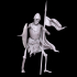 Spearman skeleton image