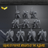 SQUAD OF PRIVATE KNIGHTS OF THE ALLIANCE image