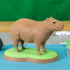 Split Capybara image