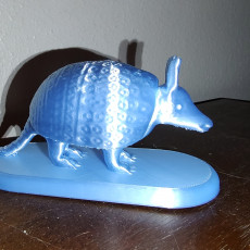 Picture of print of Armadillo