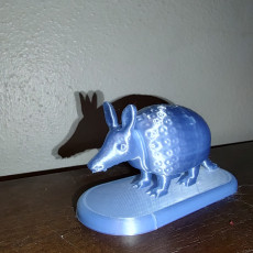 Picture of print of Armadillo
