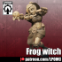 Frog Witch image