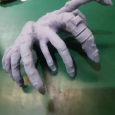 Picture of print of The Hand [FREE]