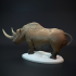 Woolly rhinoceros standing prehistoric animal image