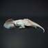 Meraxes Gigas sleeping dinosaur image