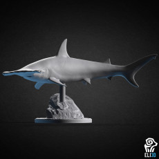 230x230 hammerhead shark 3