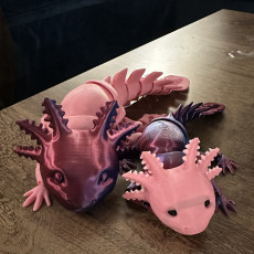 Picture of print of Adorable Articulated Axolotl, Print-In-Place Body, Snap-Fit Head, Cute Flexi