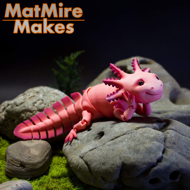 $2.98Adorable Articulated Axolotl, Print-In-Place Body, Snap-Fit Head, Cute Flexi