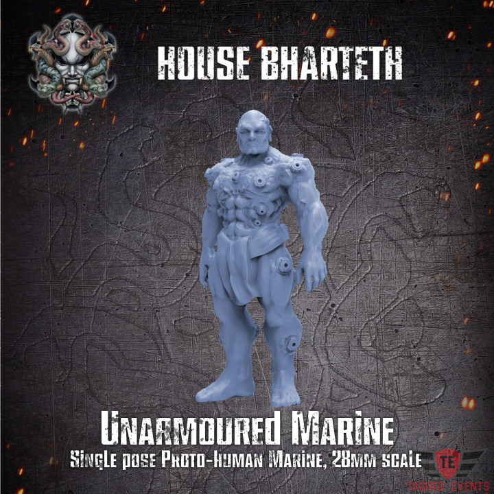 House Bharteth - Unarmoured Marine 3's Cover