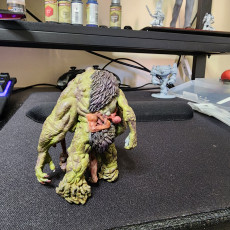 Picture of print of Underdark Parasitic Monstrosity - Dargrith