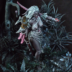 Picture of print of Drow Moon Priestess - Kadna Glyndrel