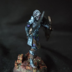 Picture of print of Drow Moon Paladin - Mrina Reloth