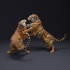 Bengal Tiger Fight image