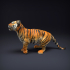 Bengal Tiger Cub image