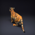 Bengal Tiger Cub image