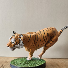 Picture of print of Bengal Tiger Run