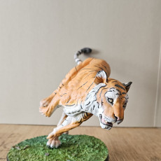 Picture of print of Bengal Tiger Run