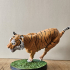Bengal Tiger Run print image