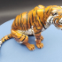 Bengal Tiger Sit print image