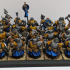 Dwarfs Warriors Unit - Highlands Miniatures print image
