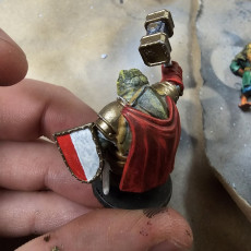 Picture of print of Turtle Crusader 2 Hammer