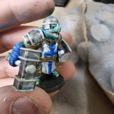 Picture of print of Turtle Crusader 3 Hammer