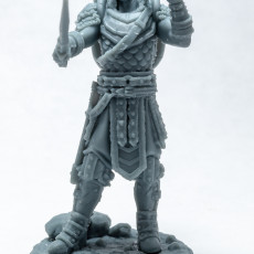Picture of print of Goliath Commander