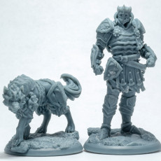 Picture of print of Shadow General + Armored Dire Wolf