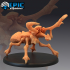 Dread Beetle / Hercules Insect / Huge Jungle Bug / Claw Hugger image