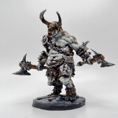 Picture of print of Beastmen Part 1: Collection