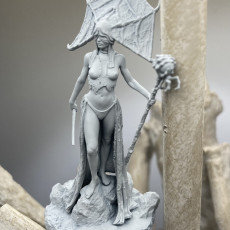 Picture of print of Dark Elf High Priestess