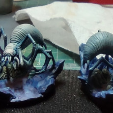 Picture of print of Cave Spiders x 3