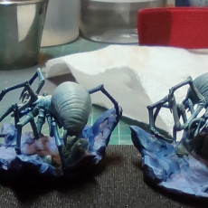 Picture of print of Cave Spiders x 3