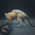 Thylacine (Tasmanian Tiger, Thylacinus cynocephalus) image