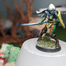 Picture of print of Engal Arannis - Elf Paladin