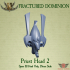 Fractured Dominion - Priest Heads x 4 (Ancient Eldar) image