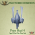 Fractured Dominion - Priest Heads x 4 (Ancient Eldar) image