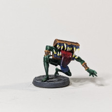 Picture of print of Mimic Duo (2 Versions)