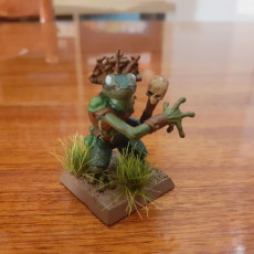 Picture of print of Poison Frog Shaman / Toad Folk / Marsh Reptile Soldier / Swamp Dweller