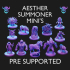 Aesther Summoner Pack - Pre Supported image