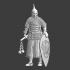 Medieval Baltic Noble warrior image