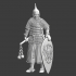 Medieval Baltic Noble warrior image