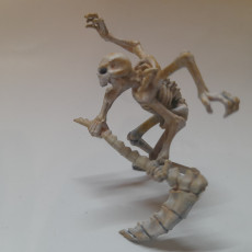 Picture of print of Bone Horror / Skeletal Monstrosity