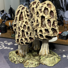 Picture of print of Mushroom Forest Terrain | PRESUPPORTED | Mushroom Bayou