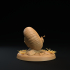 Small Snails | PRESUPPORTED | Mushroom Bayou image