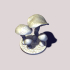 mushroom amanita image