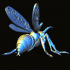 WASP image